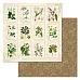 Набор бумаги 20х20 см "Заповедник", 12 листов (ScrapMania)