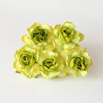 Букет больших кудрявых роз "Двухтоновый зеленый", 4 см, 5 шт (Craft)
