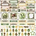 Бумага "Эра динозавров. Картинки" (ScrapMania)