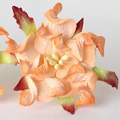 Гардения "Персиковая двухтоновая", 1 шт (Craft)