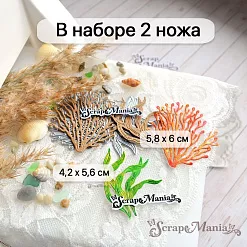 Нож "Море. Ламинария", 5,8х6 см (ScrapMania)