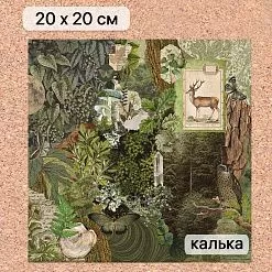 Калька 20х20 см "Заповедник 01", плотность 110 гр/м2 (ScrapMania) Калька 20х20 см "Заповедник 01", плотность 110 гр/м2 (ScrapMania)