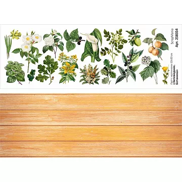 Лист с картинками 10х30 см "Заповедник. Ботаника" (ScrapMania)