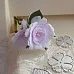Нож "Махровая роза" 5х5 см (ScrapMania)