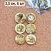 Набор фишек "Затерянная среди роз" (ScrapMania)