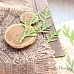 Нож "Веточки туи", 3,8х5,6 см (ScrapMania)