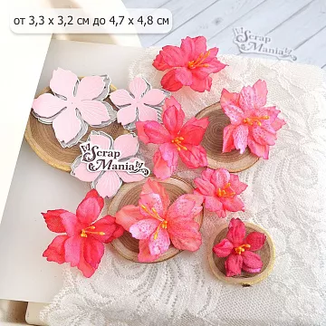 Нож "Азалия. Цветы", 2,5х4 см (ScrapMania)