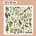 Калька 20х20 см "Заповедник 25", плотность 110 гр/м2 (ScrapMania)