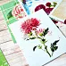 Набор карточек "Летняя феерия", 16 шт (ScrapMania)