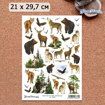 Скрап-карта А4 "Тайга. Хозяева леса" (ScrapMania)