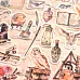 Набор высечек из веллума "Волшебник" (ScrapMania)