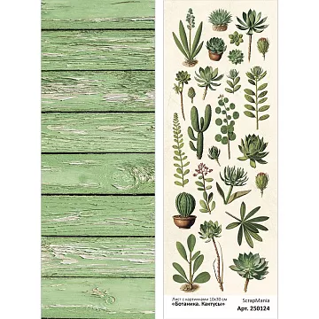 Лист с картинками 10х30 см "Ботаника. Кактусы" (ScrapMania)