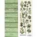 Лист с картинками 10х30 см "Ботаника. Кактусы" (ScrapMania)