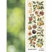 Лист с картинками 10х30 см "Ботаника. Фрукты" (ScrapMania)