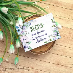 Набор карточек "Наше гнездышко" (ScrapMania)