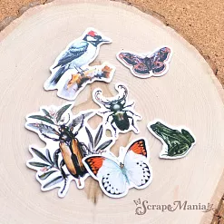 Набор высечек из бумаги "Заповедник", 43 шт (ScrapMania)