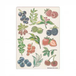 Набор украшений из чипборда "Цветной. Лесные ягоды" (Mr.Painter) Набор украшений из чипборда "Цветной. Лесные ягоды" (Mr.Painter)