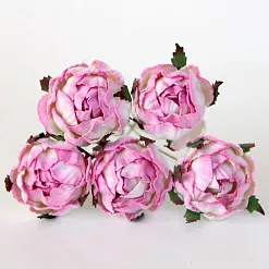 Букет ранункулюсов "Розовый с белым", 5 шт (Craft)