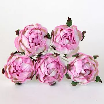 Букет ранункулюсов "Розовый с белым", 5 шт (Craft)