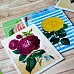 Набор карточек "Летняя феерия", 16 шт (ScrapMania)
