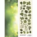 Лист с картинками 10х30 см "Ботаника. Листья" (ScrapMania)
