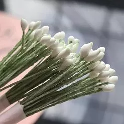 Тычинки "Капли. Белые на темно-зеленой нити", 25 шт (AgiArt) Тычинки "Капли. Белые на темно-зеленой нити", 25 шт (AgiArt)