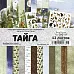 Набор бумаги 20х20 см "Тайга", 12 листов (ScrapMania)