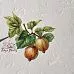 Набор высечек из ткани "Крыжовник", 23 шт (RozeFlowers)