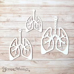 Чипборд "Спасибо, доктор! Шейкер. Легкие маленькие" (ScrapMania)