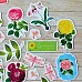 Набор высечек из бумаги "Летняя феерия", 44 шт (ScrapMania)