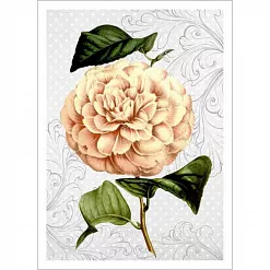 Тканевая карточка "Оранжерея. Персиковый георгин" (ScrapMania) Тканевая карточка "Оранжерея. Персиковый георгин" (ScrapMania)