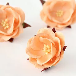 Цветок дикой розы "Персиковый", 1 шт (Craft) Цветок дикой розы "Персиковый", 1 шт (Craft)