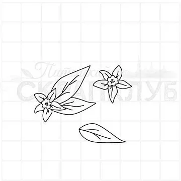 Штамп "Цветы лимона", 2х3,5 см (Скрапклуб)