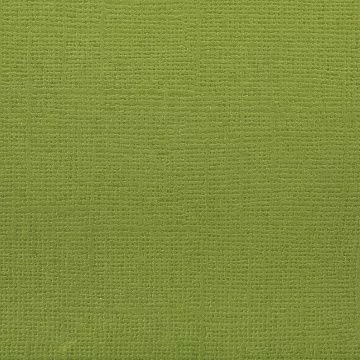 Кардсток с текстурой холста "Сочный лайм" (Mr.Painter)