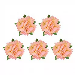 Набор цветов "Гвоздики, кремово-розовые", 5 шт (ScrapBerry's)