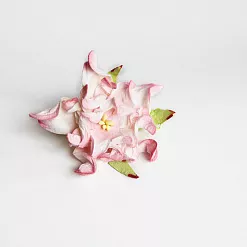 Гардения большая "Розовая с белым", 7 см, 1 шт (Craft)