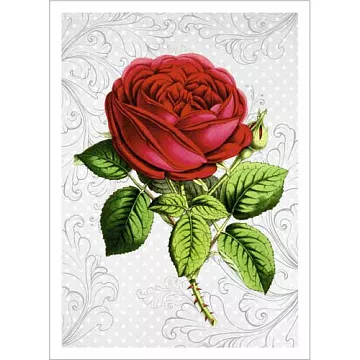 Тканевая карточка "Оранжерея. Королева" (ScrapMania)