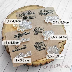 Набор штампов "Особенные поздравления", 7,5х7,5 см (ScrapMania)