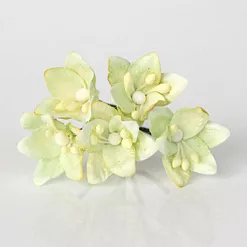 Букет лилий мини "Светло-зеленый", 2 см, 5 шт (Craft) Букет лилий мини "Светло-зеленый", 2 см, 5 шт (Craft)