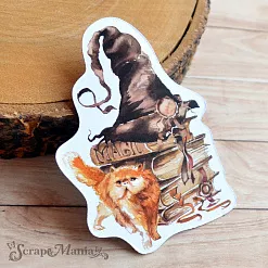 Набор высечек из бумаги "Волшебник" (ScrapMania)