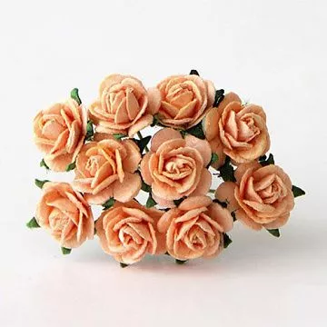 Букет средних розочек "Персиковые", 10 шт (Craft)