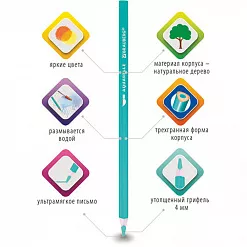Набор акварельных карандашей "Premium aquarelle", 6 цветов (Brauberg)