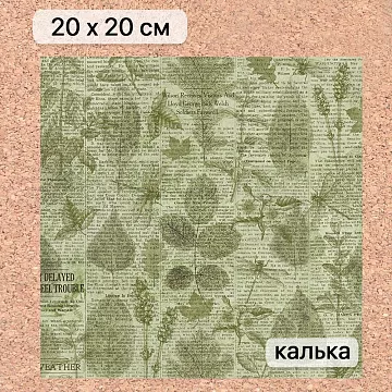 Калька 20х20 см "Заповедник 21", плотность 110 гр/м2 (ScrapMania)