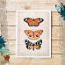 Тканевая карточка "Вечные странники. Бабочки" (ScrapMania)