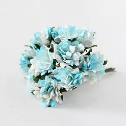 Букет астр "Бирюзовый с белым", 10 шт (Craft)