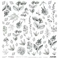Бумага "Flowers. Картинки для вырезания" (CraftO'clock) Бумага "Flowers. Картинки для вырезания" (CraftO'clock)