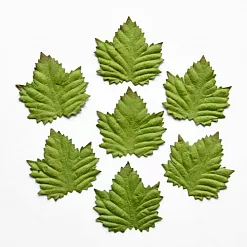 Набор листочков "Клен" (ScrapBerry's) Набор листочков "Клен" (ScrapBerry's)