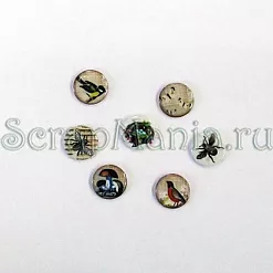 Набор мини-фишек "Лесная мелодия"