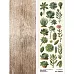 Лист с картинками 10х30 см "Ботаника. Суккуленты" (ScrapMania)