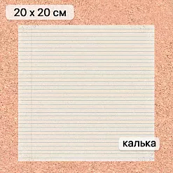 Калька 20х20 см "Школьная жизнь 14", плотность 110 гр/м2 (ScrapMania)
